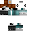 Texture for authentc robo