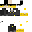 Texture for midas