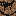 Texture for dfghjm,.