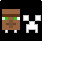 Texture for npc pattern
