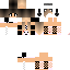 Texture for blanka2005