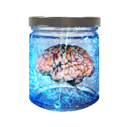 Texture for brain