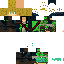 Texture for Domi2