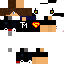 Texture for ds