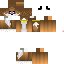 Texture for MINE