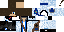Texture for ninja4