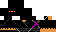 Texture for Ninja