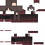 Texture for thediscocat