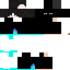 Texture for enderman