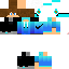 Texture for ds