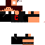 Texture for Insanecraft