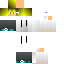 Texture for lion gameng