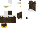 Texture for eagle