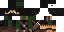 Texture for ninja