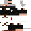 Texture for Prota