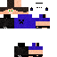 Texture for PlayerNerd