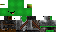Texture for turtle