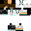 Texture for steve