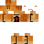 Texture for cat