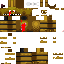 Texture for sprin guy