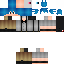 Texture for HaxSHW