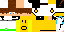 Texture for vector24