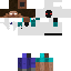 Texture for duch entity 303