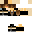 Texture for _BlindWolf_