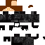 Texture for steve