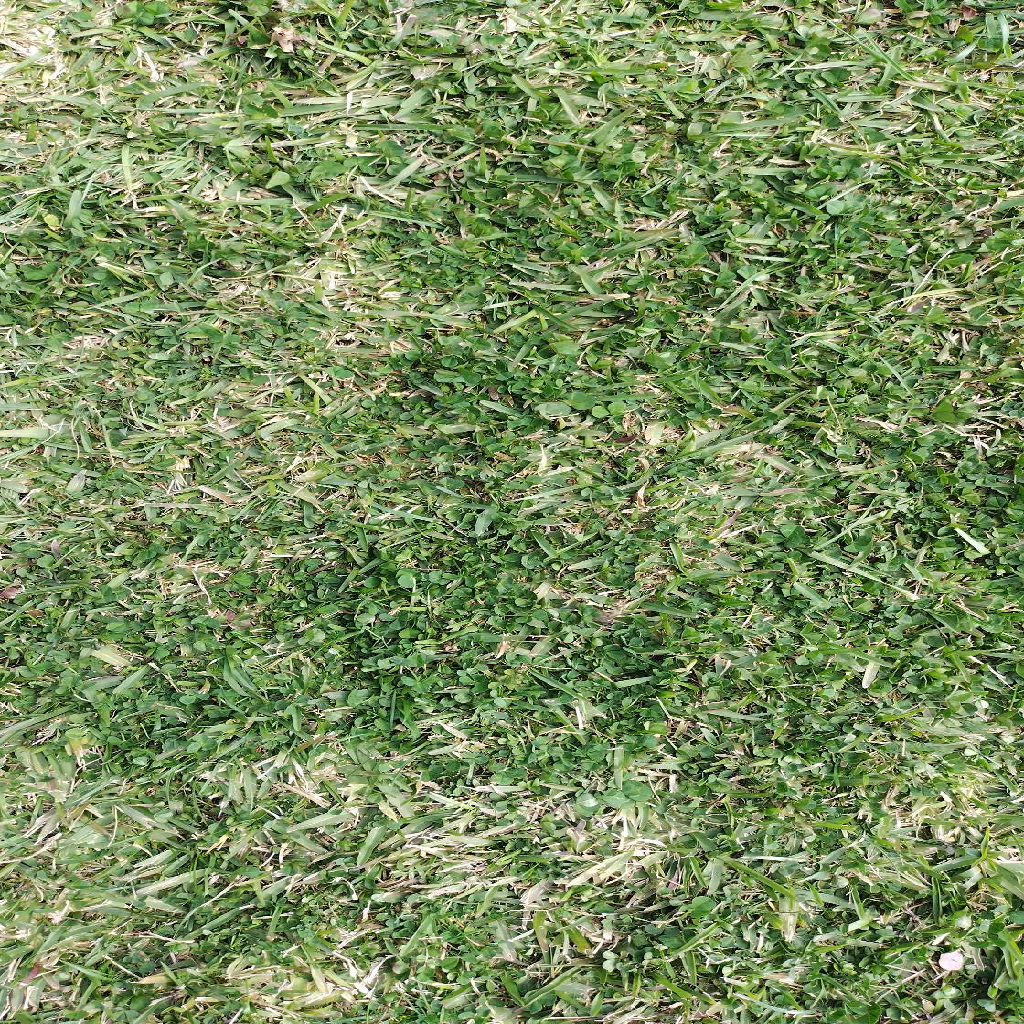 Texture for grass_block