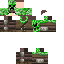 Texture for Alexa