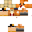 Texture for ida