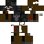 Texture for kong