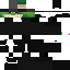 Texture for nanofrog