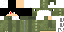 Texture for dino me