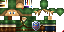 Texture for ds