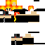 Texture for Phoenix 6