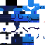 Texture for Honor Guard