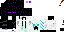Texture for 543