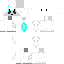 Texture for skin minecraft 
