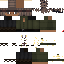 Texture for average medieval shamier