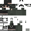 Texture for bina v1 