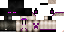 Texture for enderboy