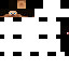 Texture for steve head