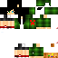 Texture for groot4999