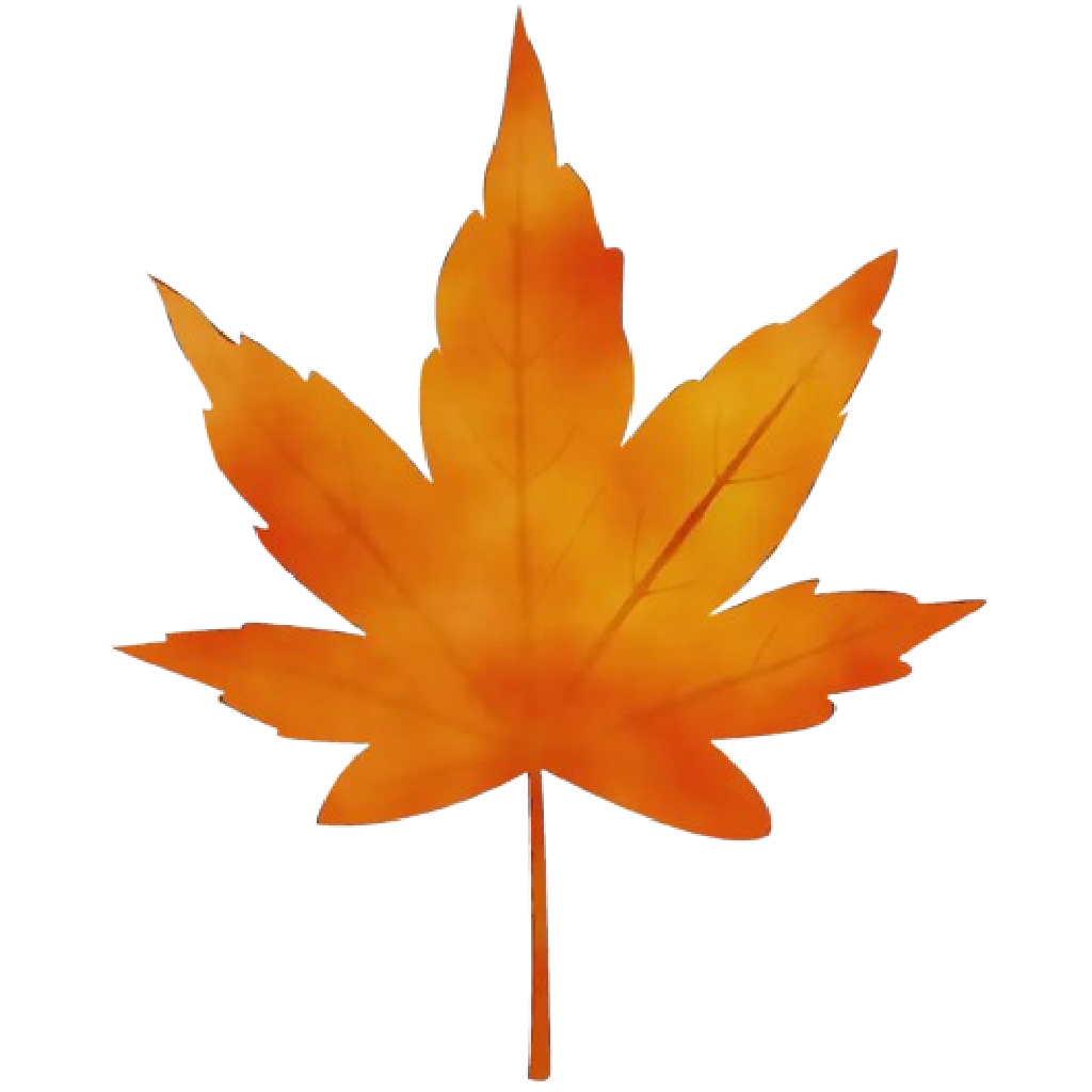 Texture for Maple