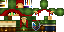 Texture for Link