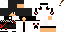 Texture for panda sig2