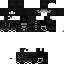 Texture for Zika_PvP_