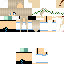 Texture for lilcsej